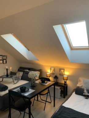 Apartment Mansarda Maribor